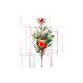 MIDNIGHT INK | Heart Roses Sticker
