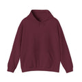RONIN | Dragon Battle Hoodie