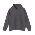 RONIN | Dragon Battle Hoodie (Charcoal Heather)